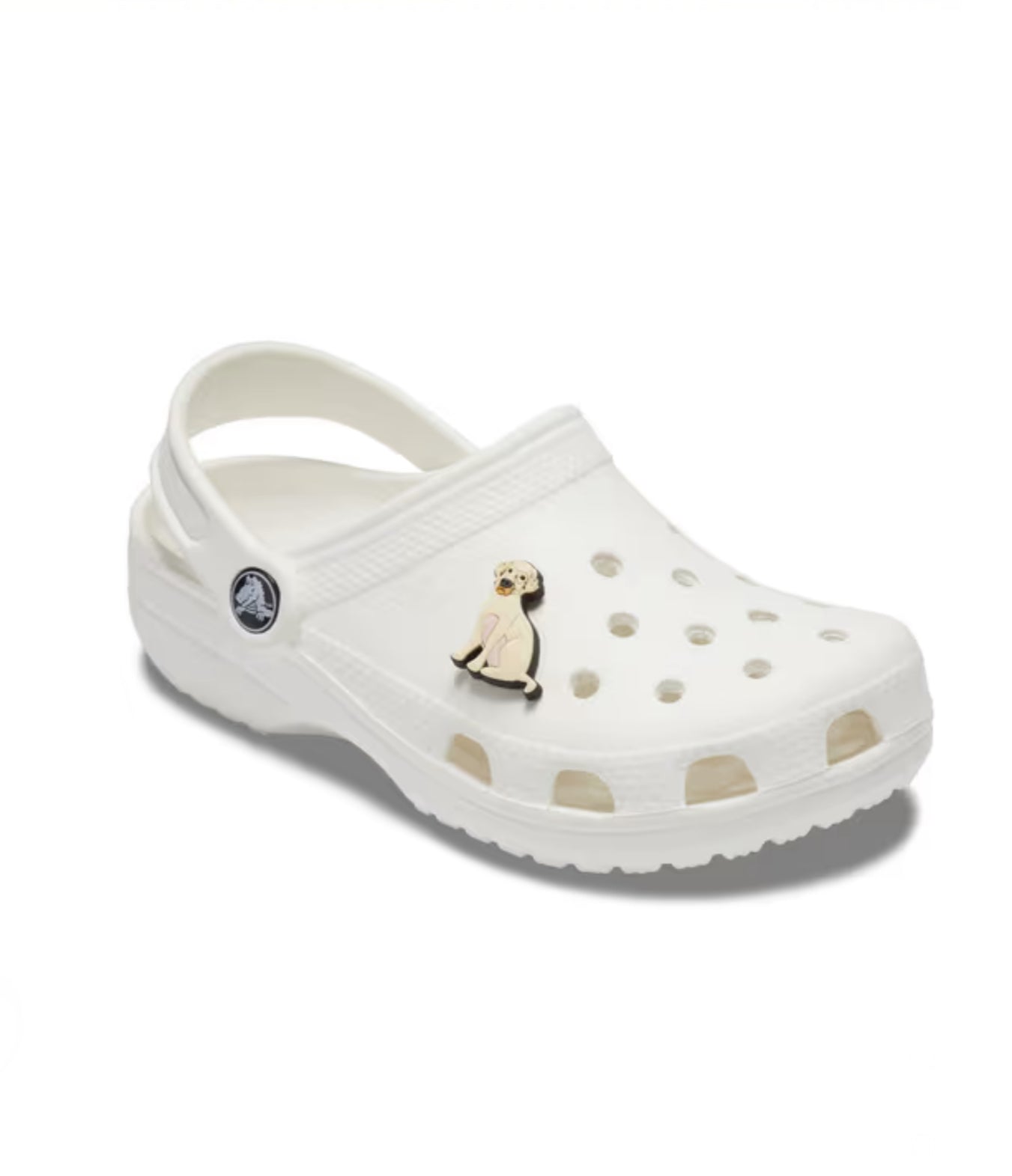 Lab Dog Crocs Shoe decoration charms Original Quality